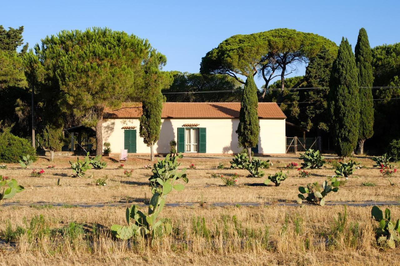 Residence La Canova II Grosseto Exterior foto