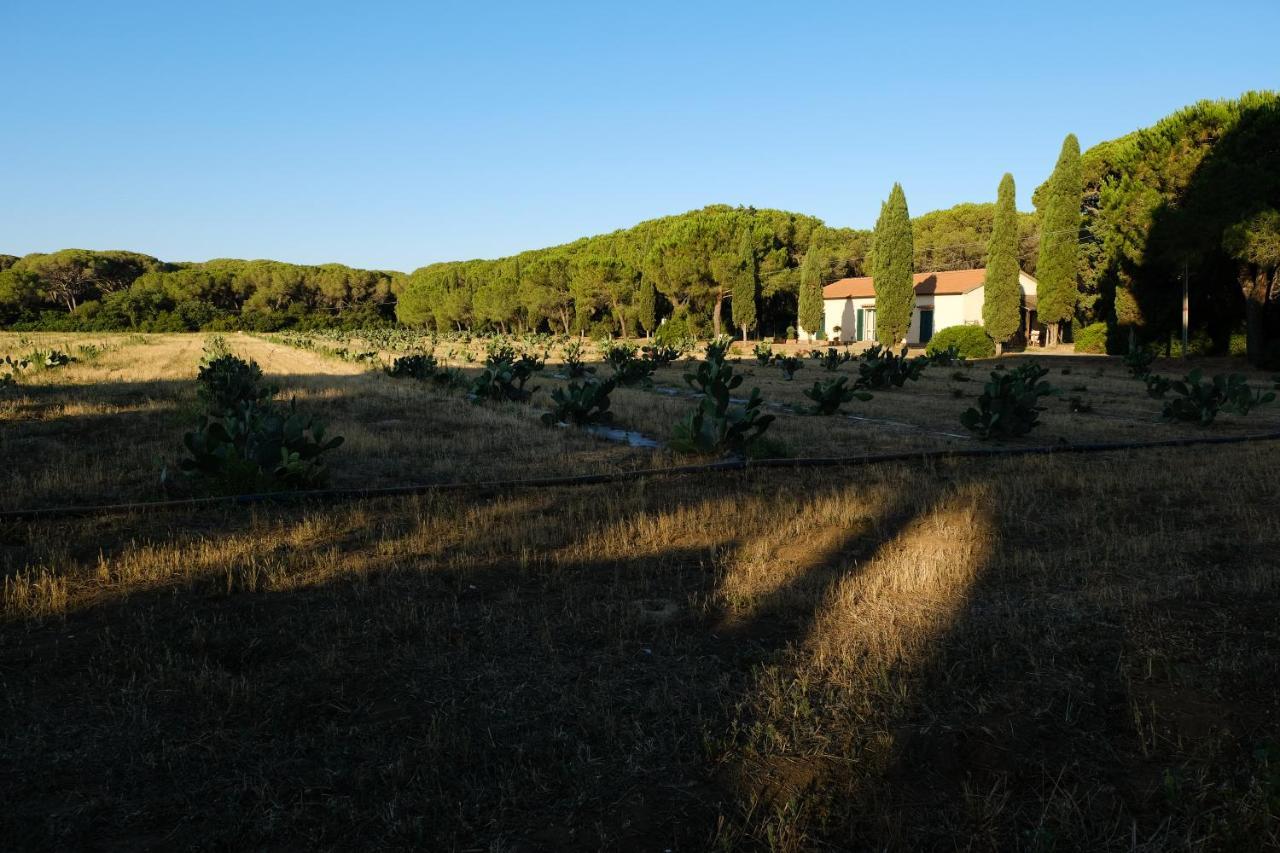Residence La Canova II Grosseto Exterior foto