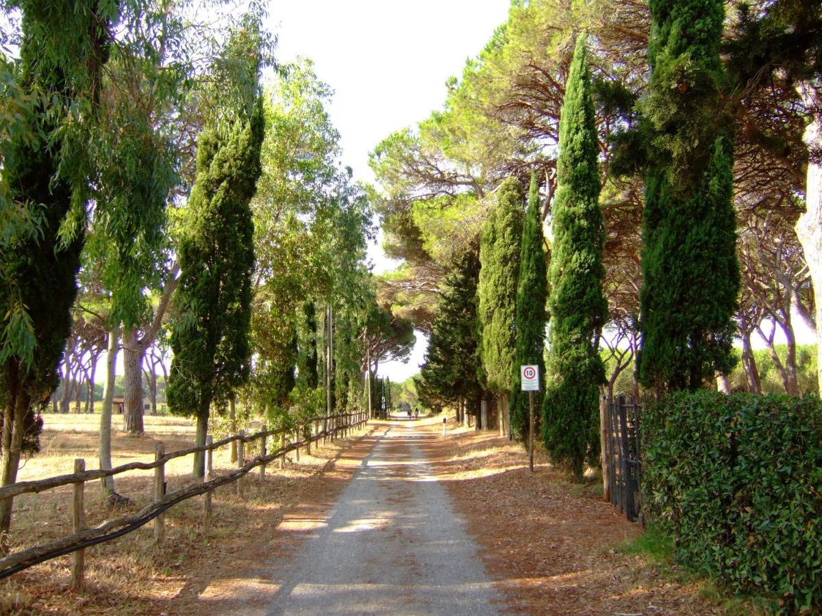 Residence La Canova II Grosseto Exterior foto